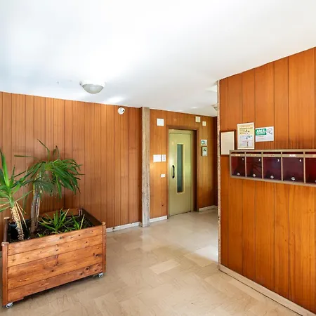 Varlungo By San Collection *